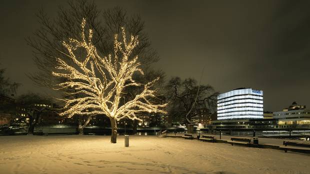 På en snötäckt mark står ett upplyst träd med ljusslingor.