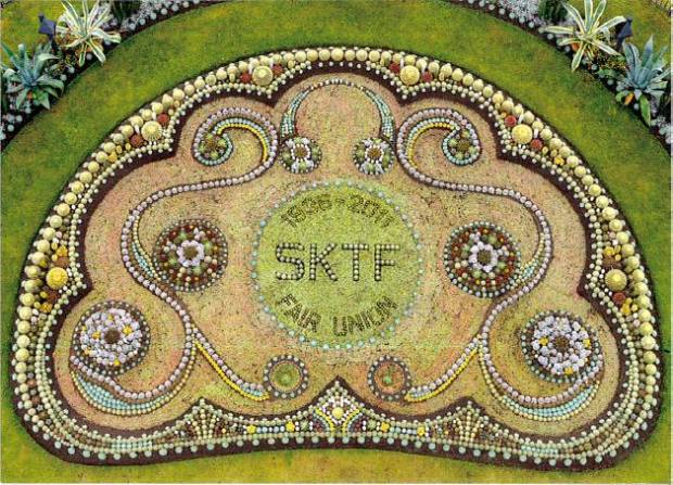 Kaktusplantering med texten 1936-2011 SKTF Fair Union. 