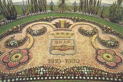 Kaktusplantering med texten SKAF 1910-1980.