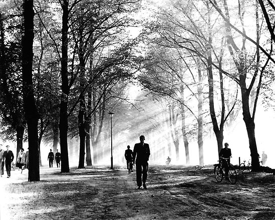Promenaderna gamla bilder 1950-60 tal