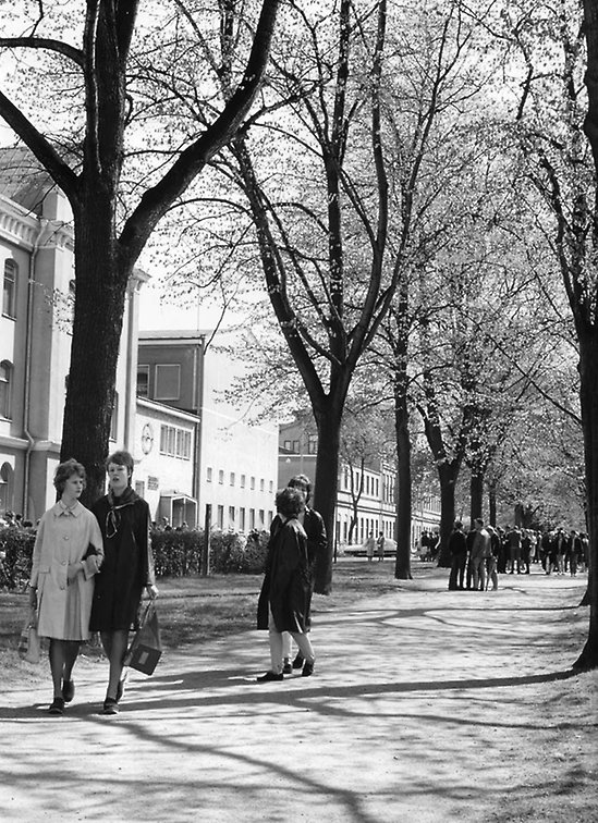 Promenaderna gamla bilder 1960-70 tal